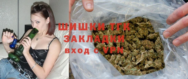 дмт Алзамай