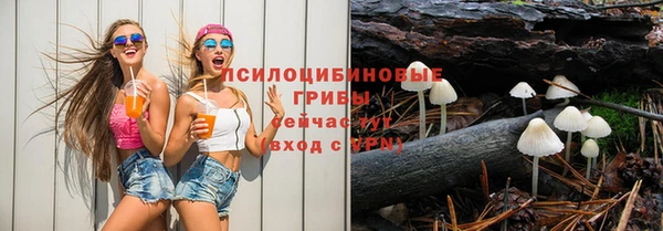СК Алексеевка