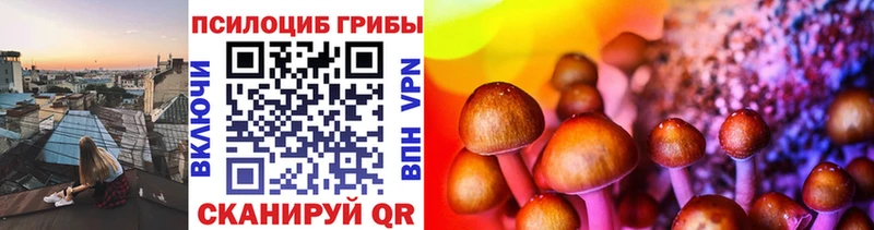 kraken маркетплейс  Сосновка  Галлюциногенные грибы ЛСД 
